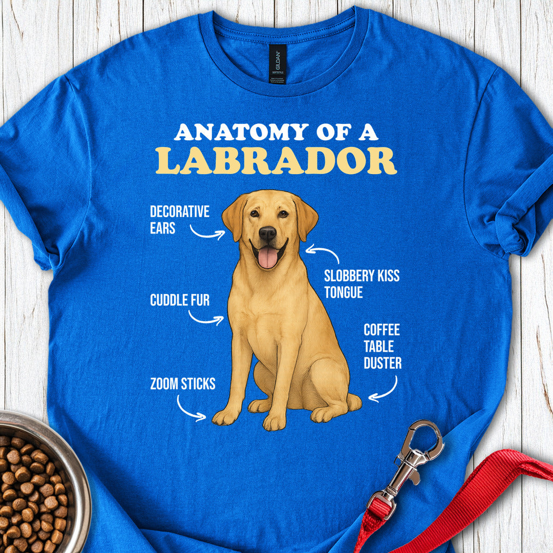 Anatomy of a Yellow Labrador Royal