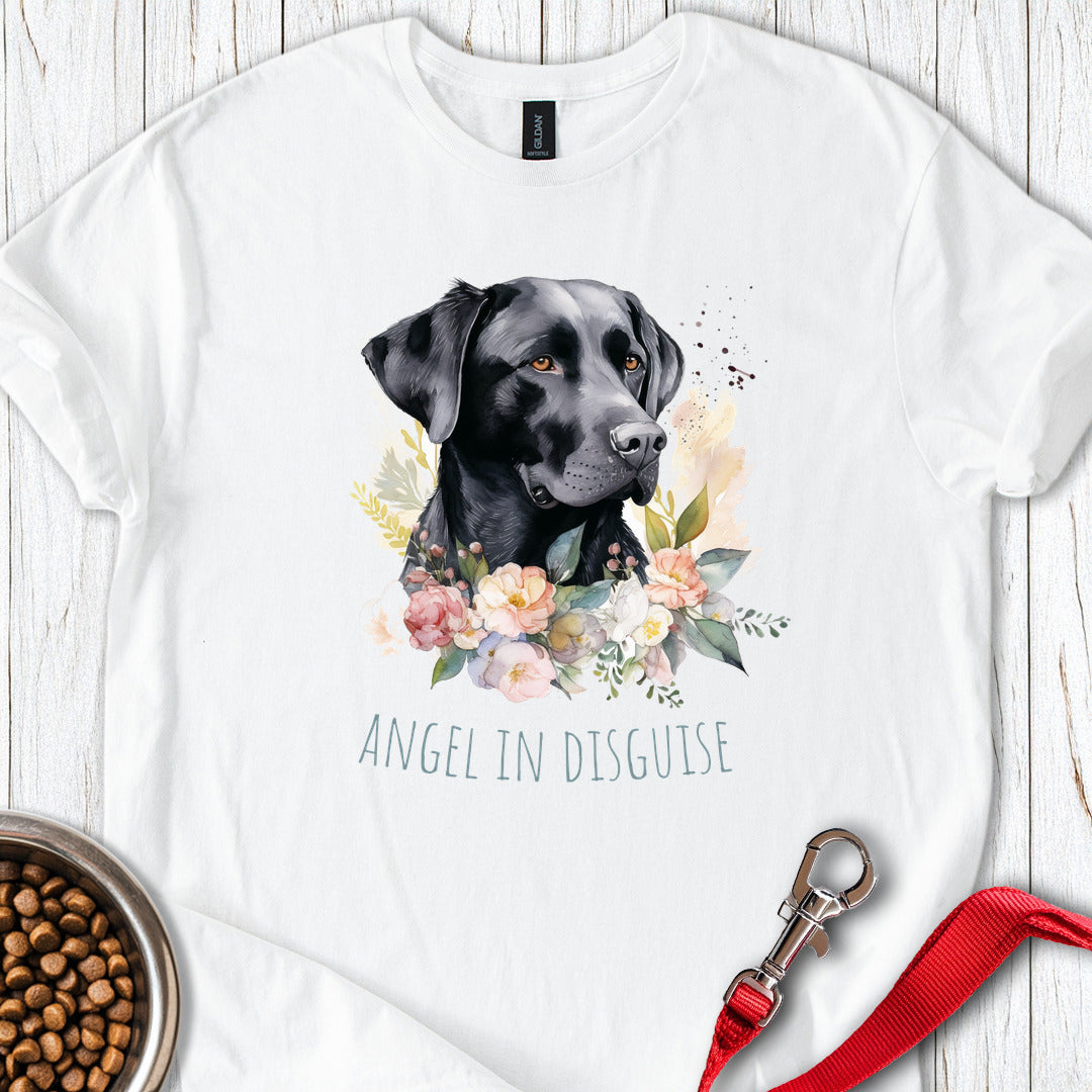 Angel In Disguise Labrador White