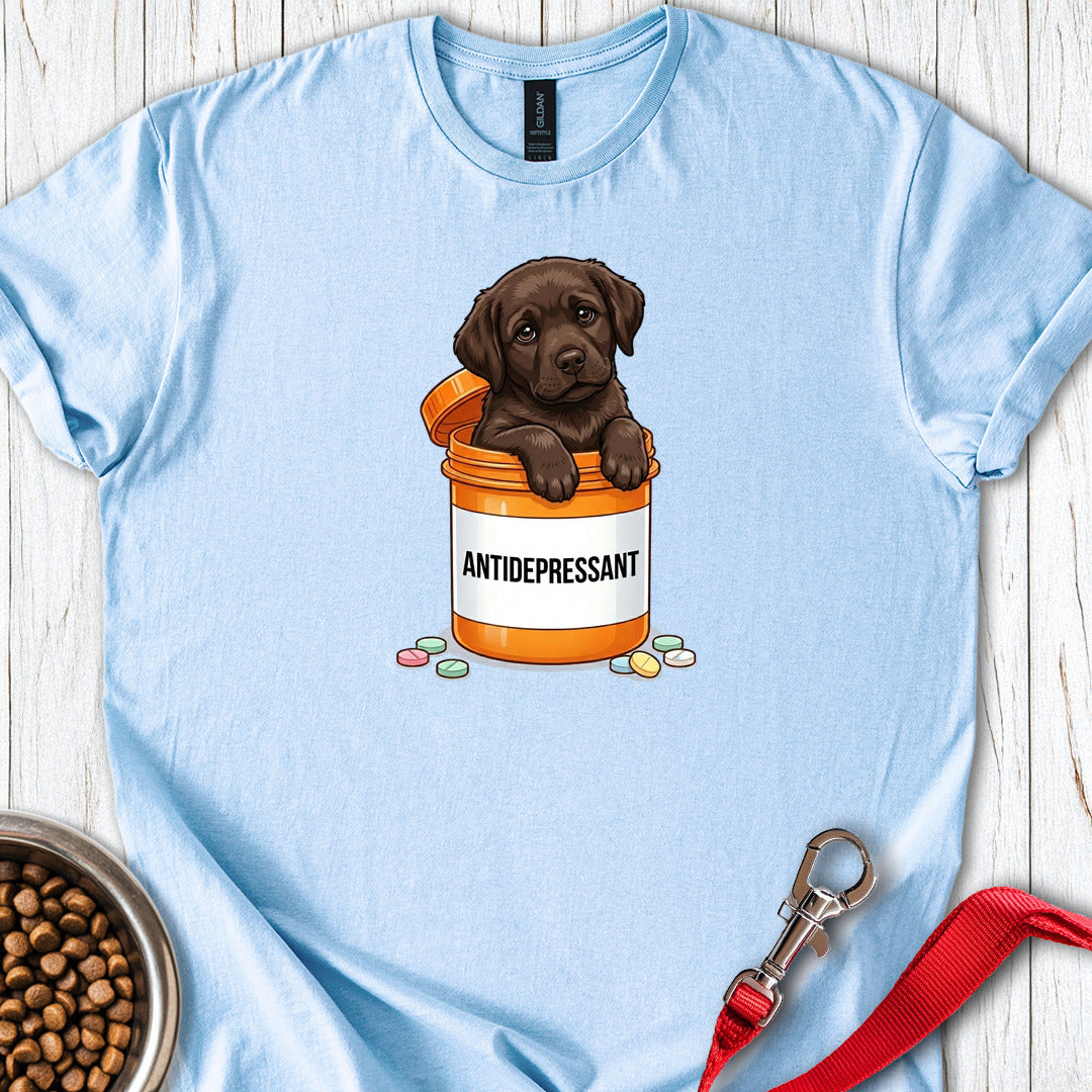 Antidepressant Chocolate Lab Light Blue