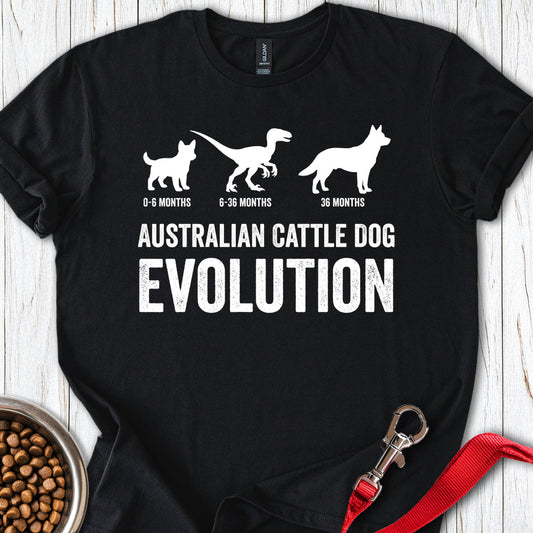 Australian Cattle Dog Evolution Black