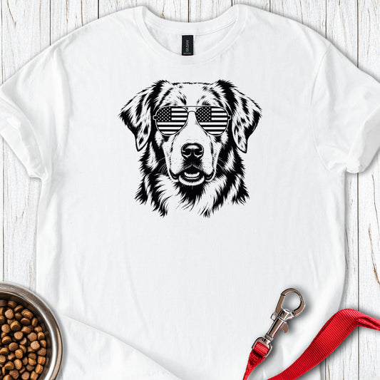 Australian Shepherd White