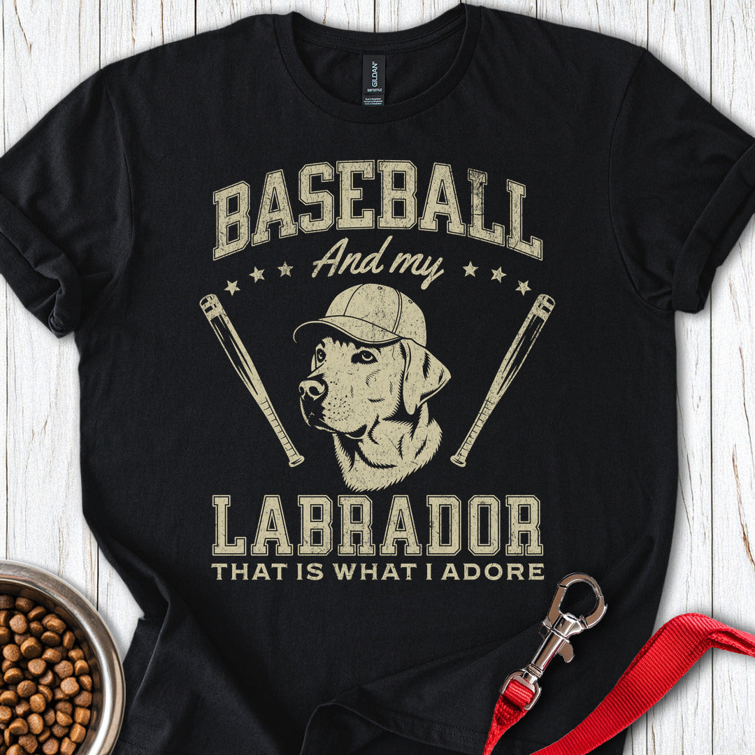 Baseball & my Labrador Black