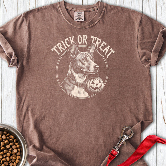 Basenji Trick Or Treat Premium Tee — Espresso