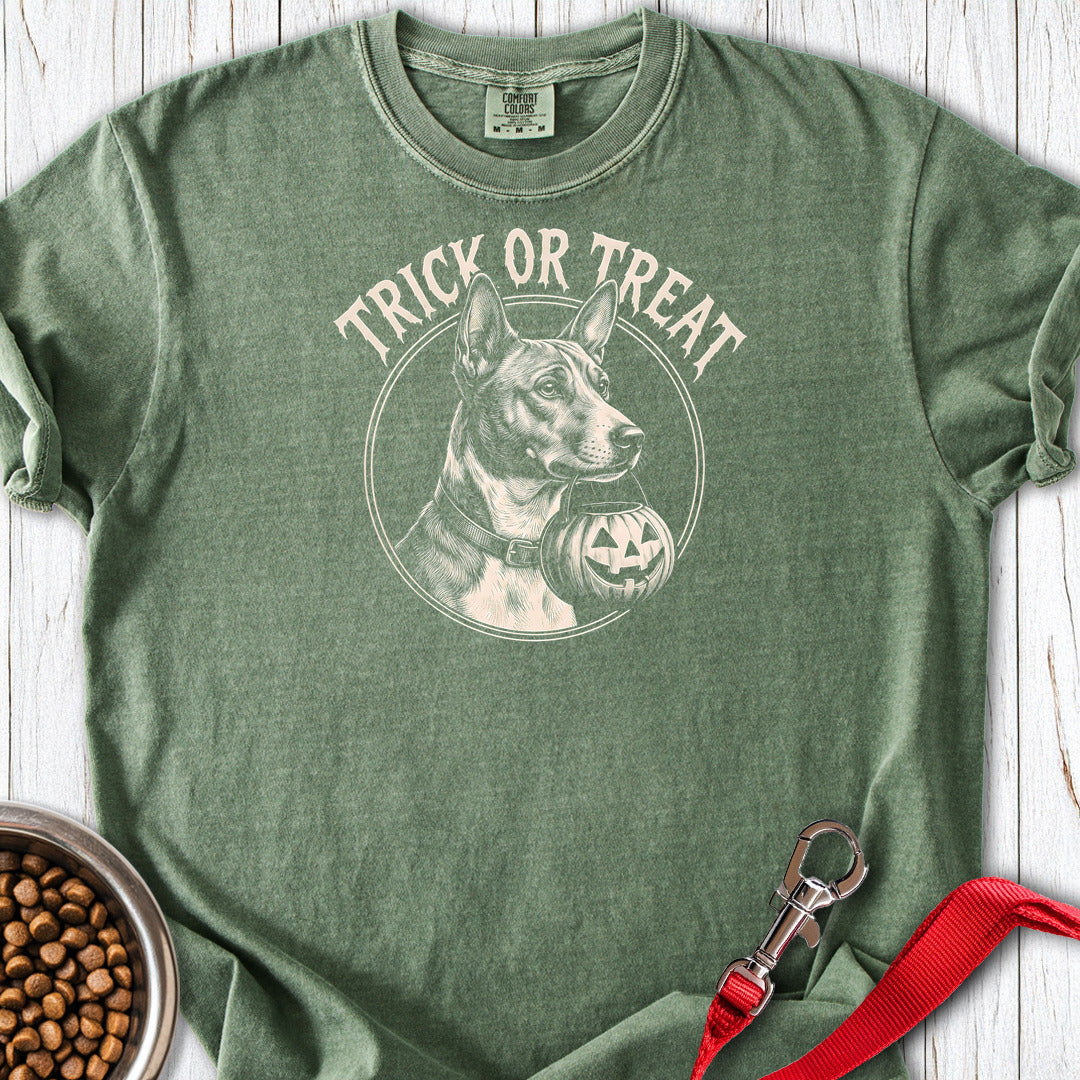 Basenji Trick Or Treat Premium Tee — Moss