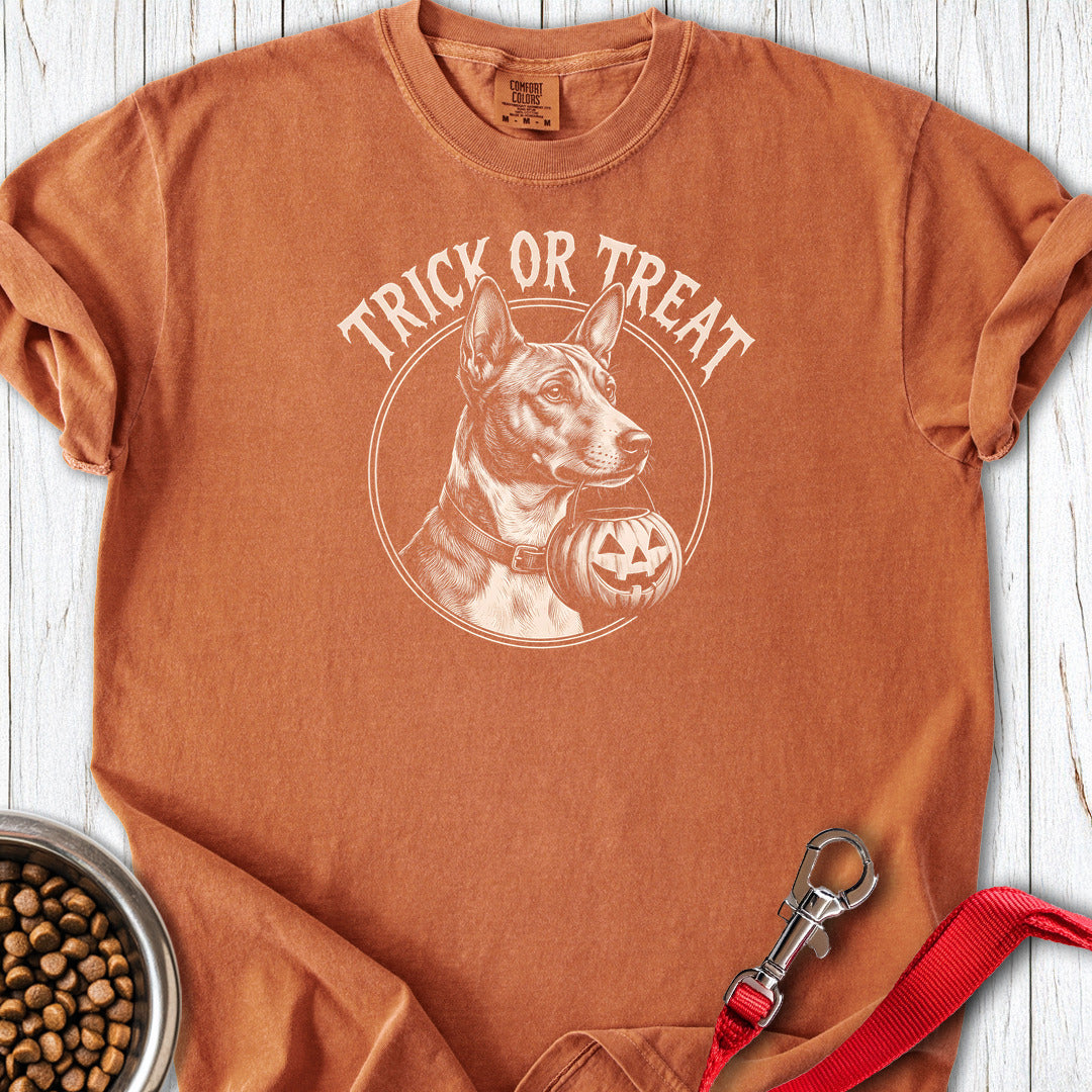 Basenji Trick Or Treat Premium Tee — Yam