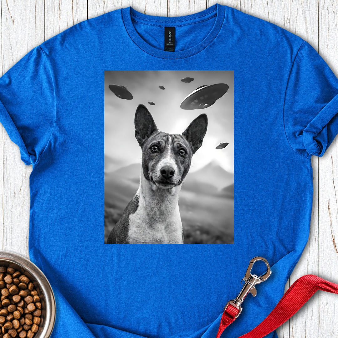 Basenji UFO — Royal