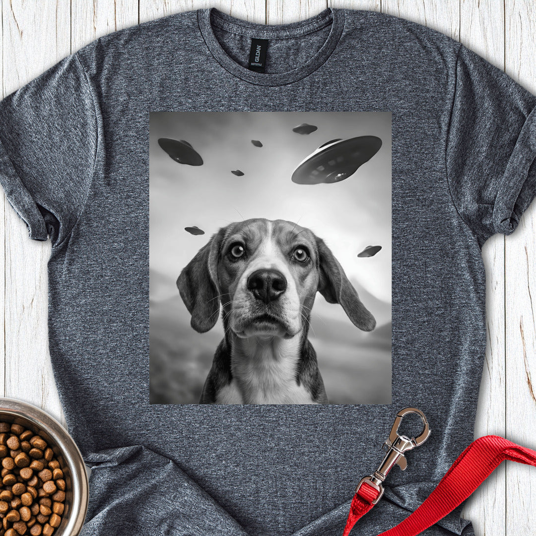 Beagle UFO Dark Heather