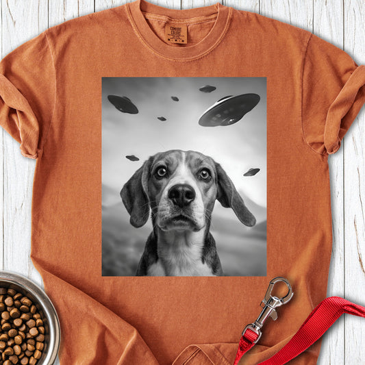 Beagle UFO Premium Tee Yam