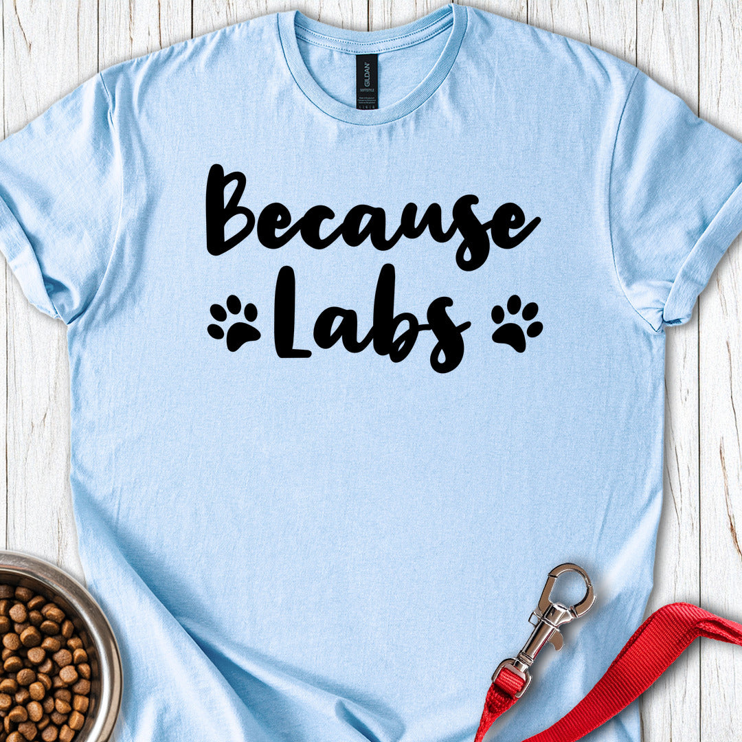 Because Labs Light Blue