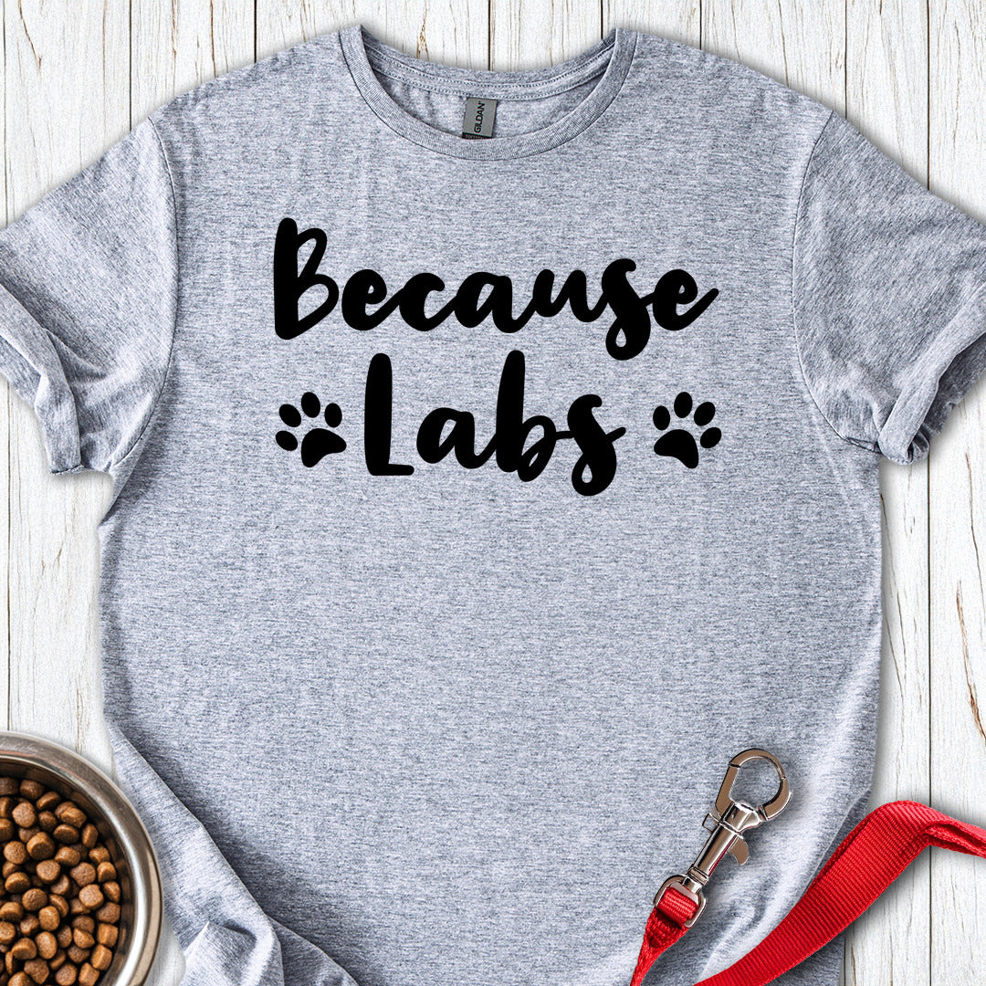 Because Labs Sport Grey