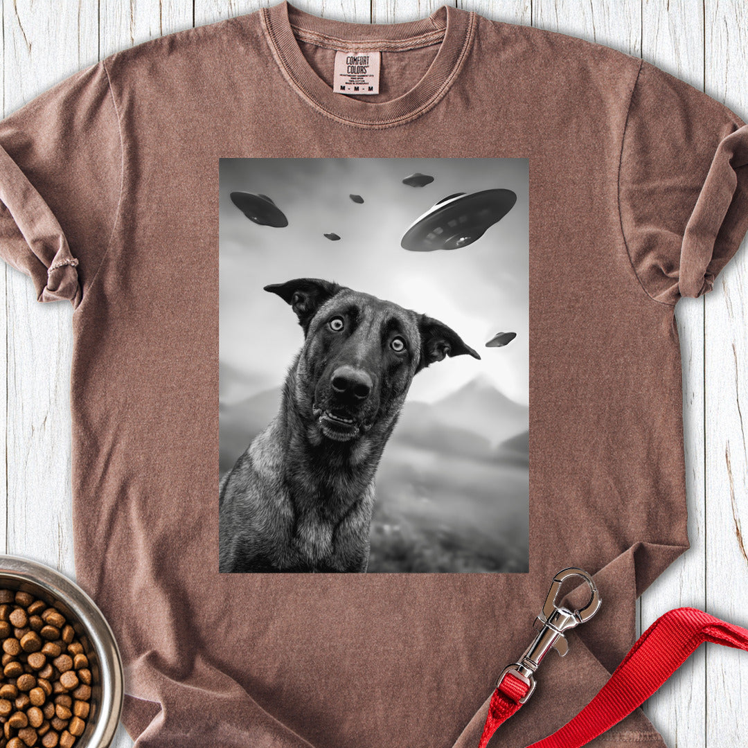 Belgian Malinois UFO Premium Tee Espresso