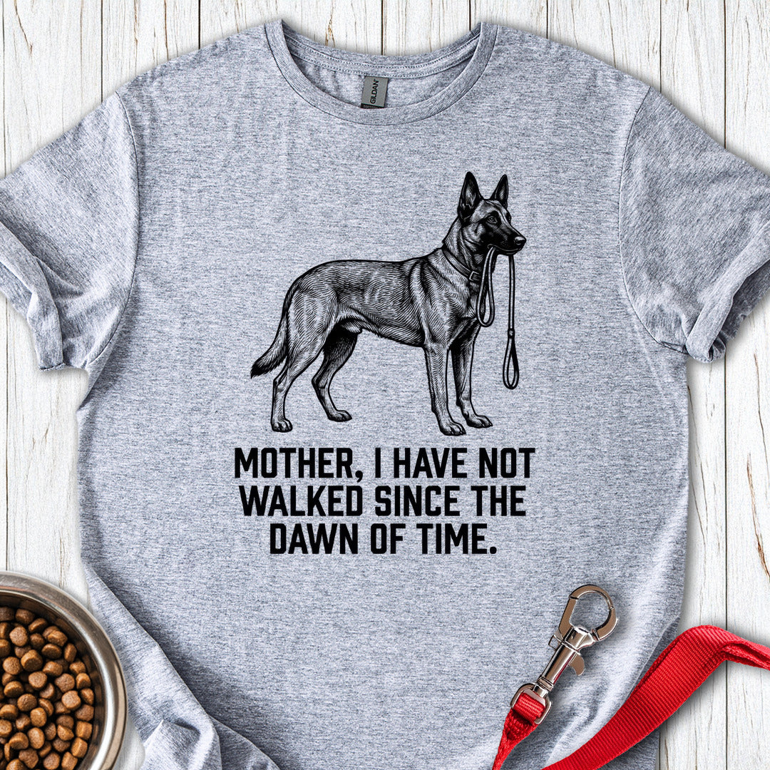 Belgian Malinois Walking Sport Grey