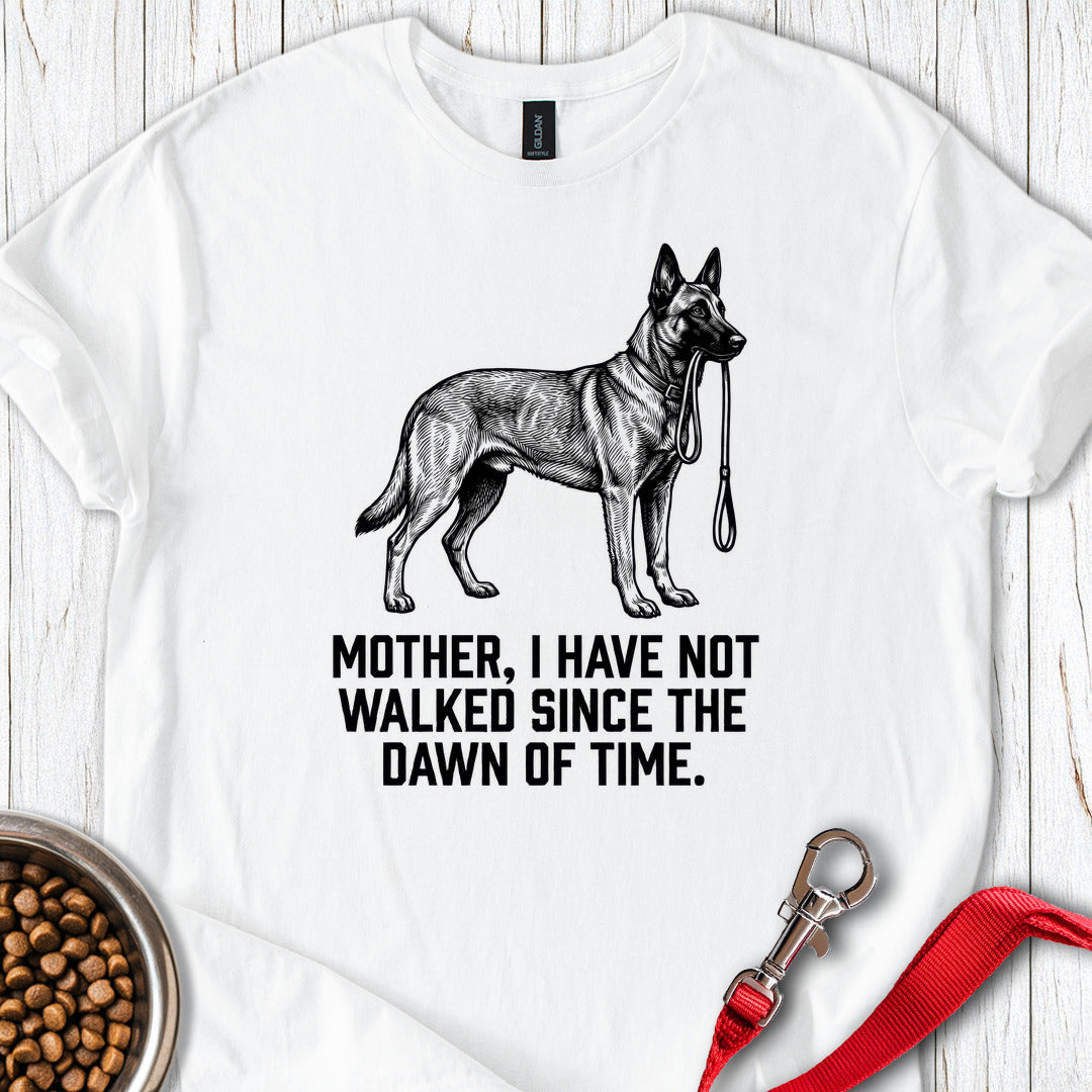 Belgian Malinois Walking White