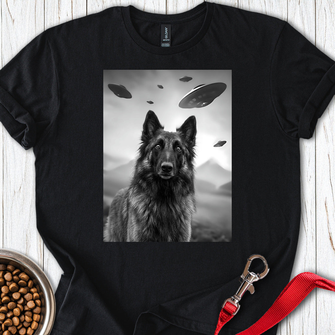 Belgian Tervuren UFO — Black