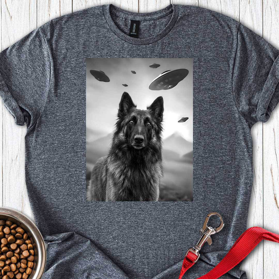 Belgian Tervuren UFO — Dark Heather