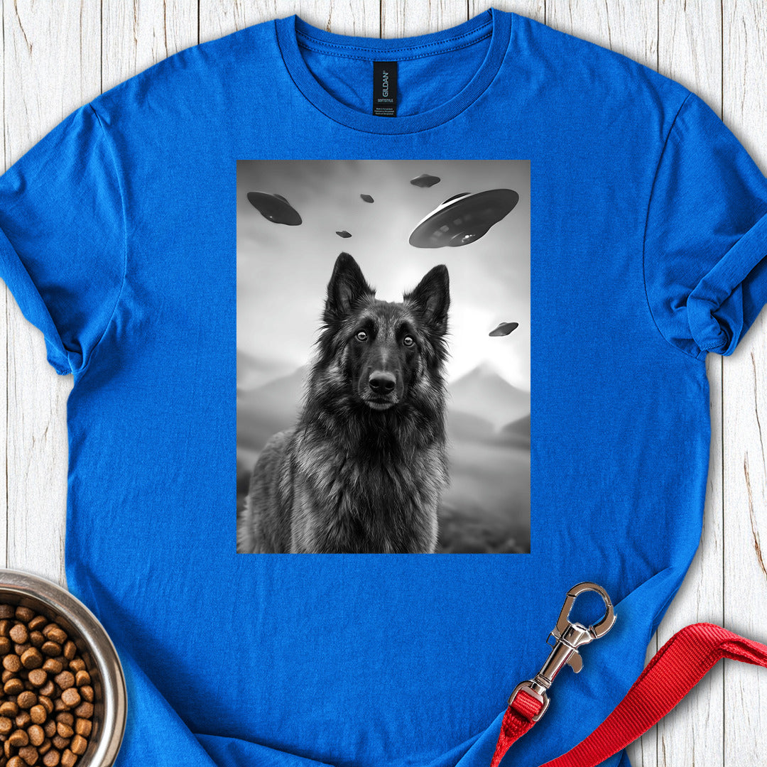 Belgian Tervuren UFO — Royal