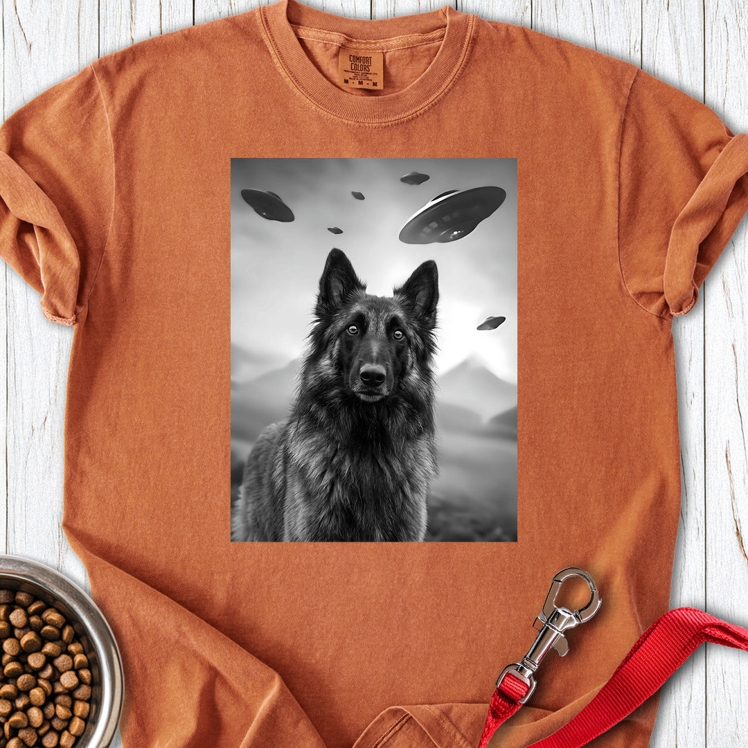 Belgian Tervuren UFO Premium Tee — Yam