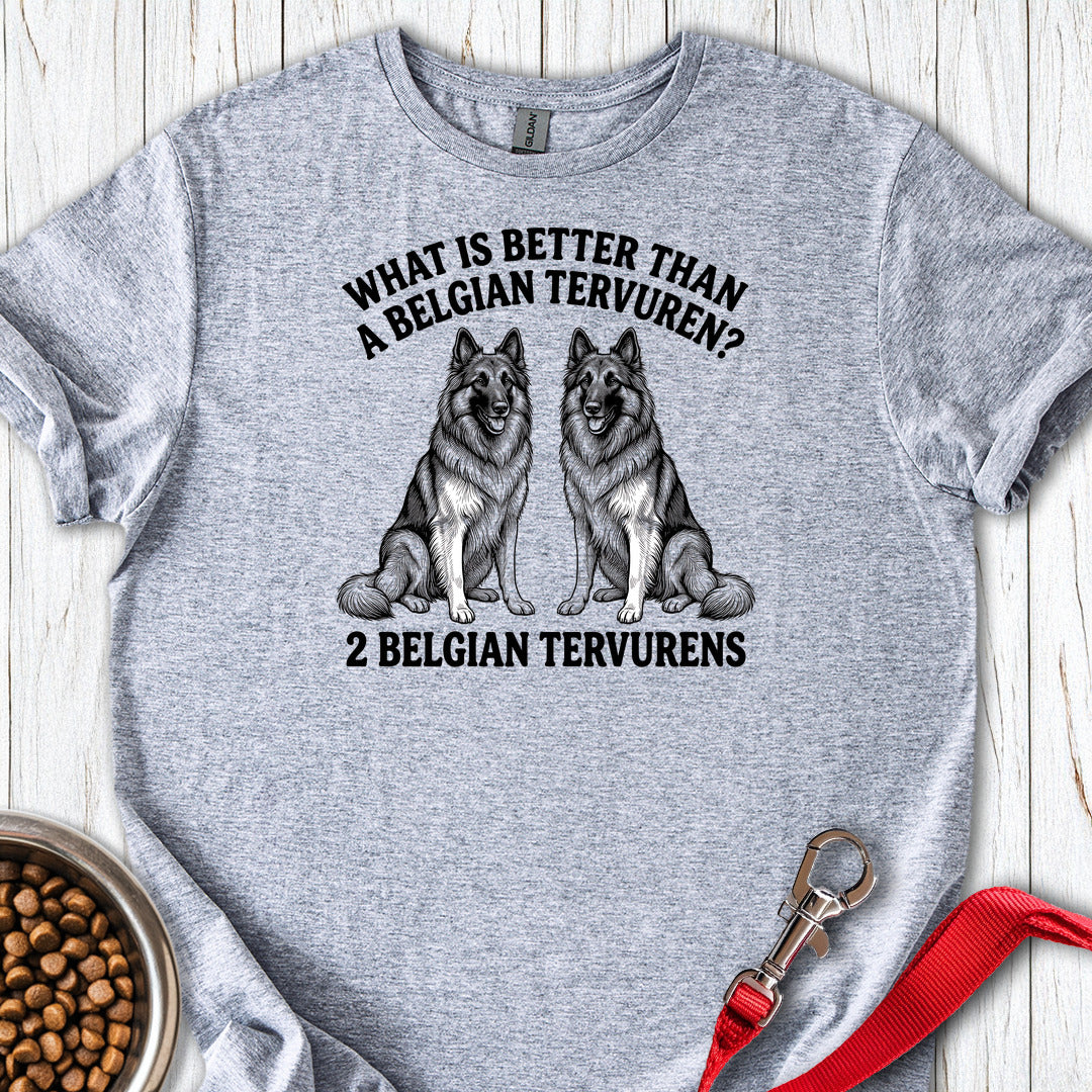 Belgian Tervuren What Is Better Than One — Sport Grey