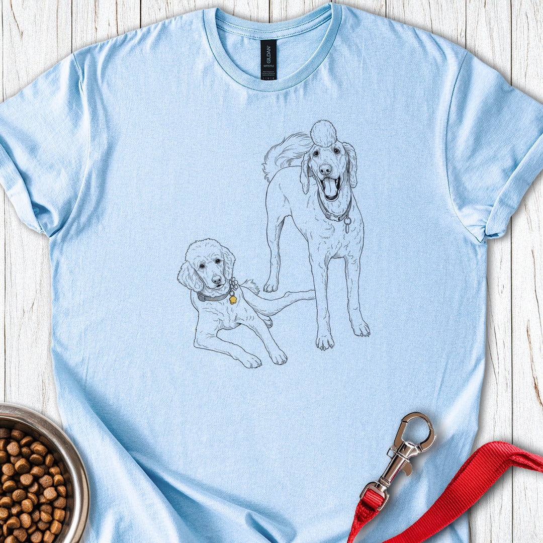 Bernadoodle and Golden Doodle Light Blue