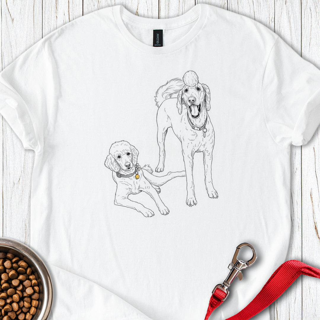 Bernadoodle and Golden Doodle White