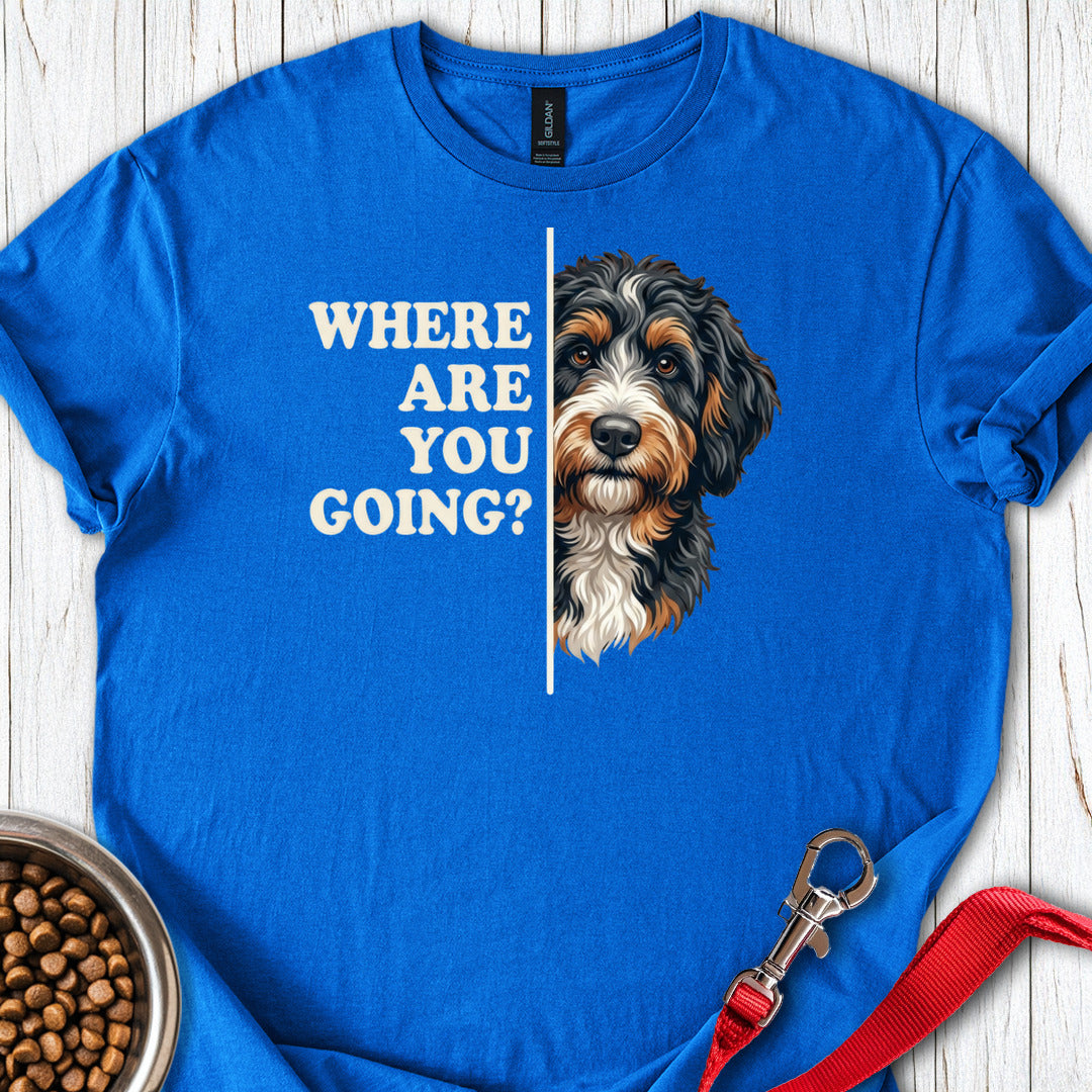 Bernedoodle Alert Royal