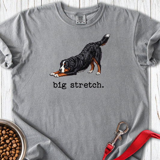 Bernese Mountain Dog Big Stretch Premium Tee Grey
