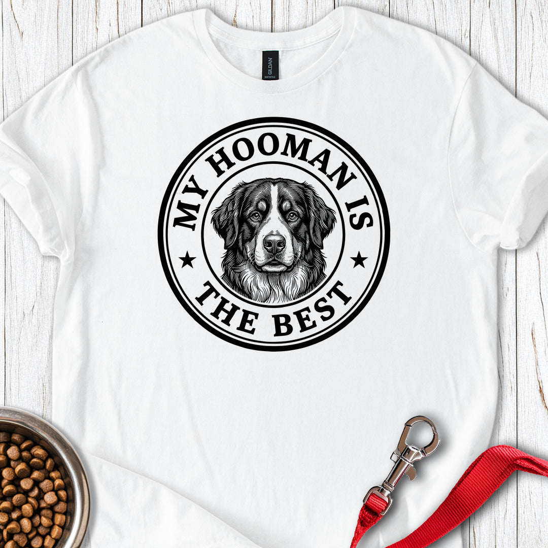 Bernese Mountain Dog My Hooman White
