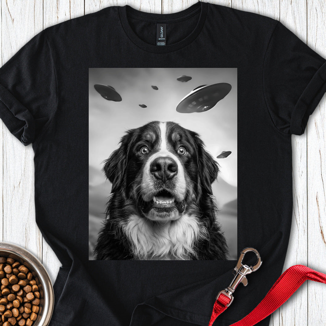 Bernese Mountain Dog UFO Black