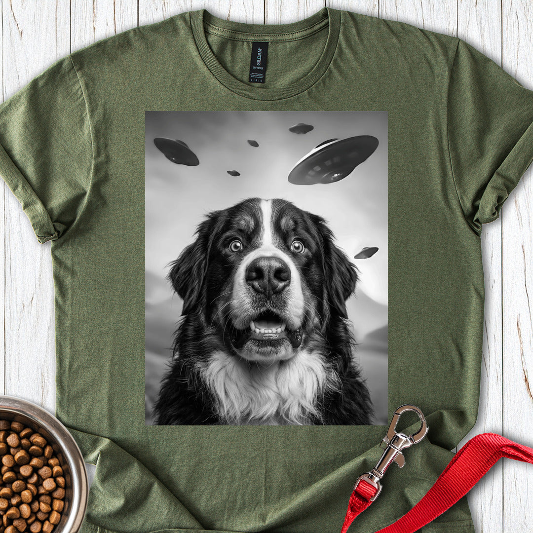 Bernese Mountain Dog UFO Military Green