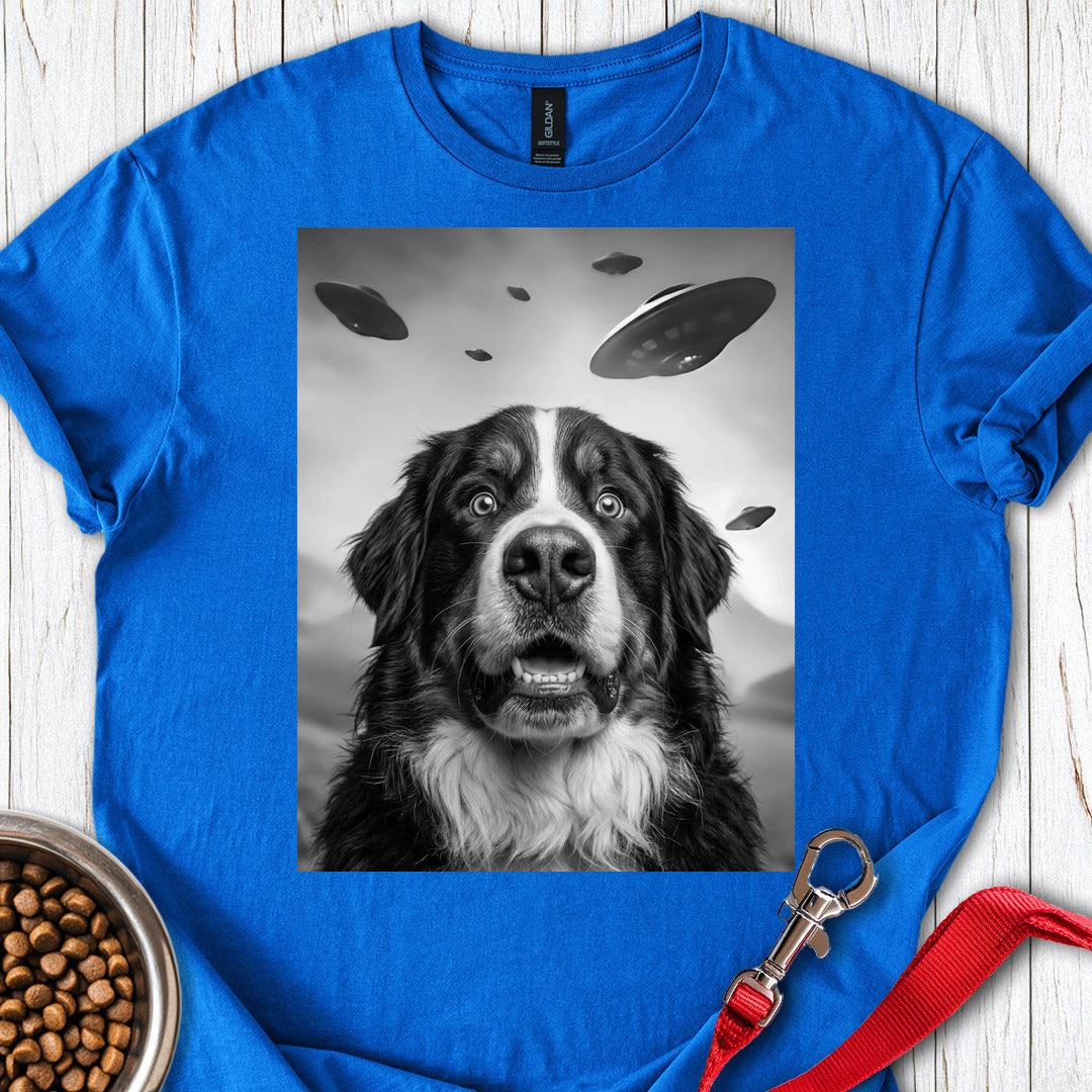 Bernese Mountain Dog UFO Royal
