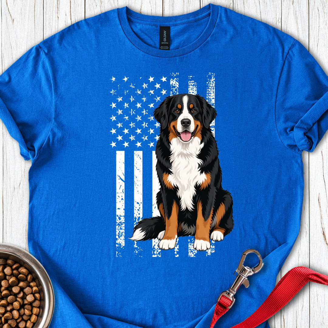 Bernese Mountain Dog USA Royal