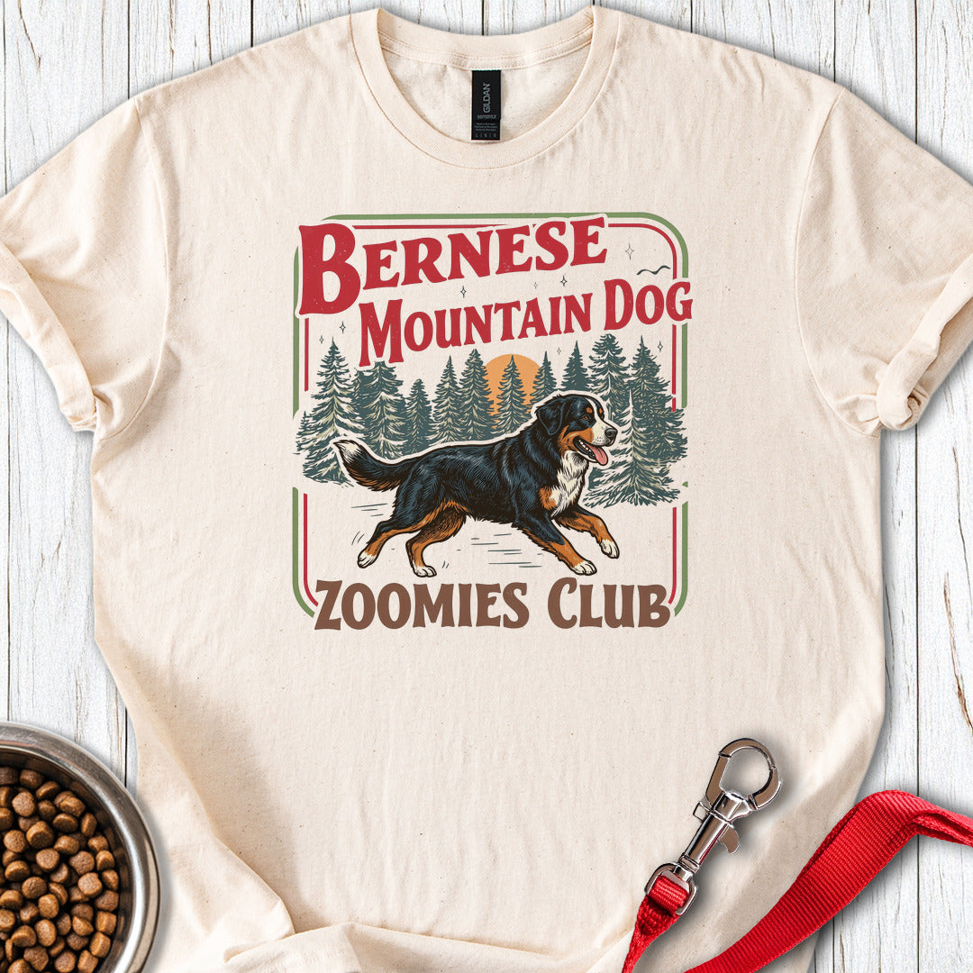 Bernese Mountain Dog Zoomies Natural