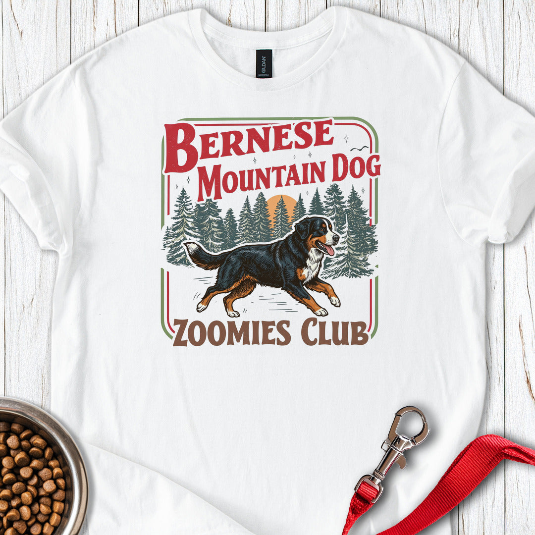 Bernese Mountain Dog Zoomies White