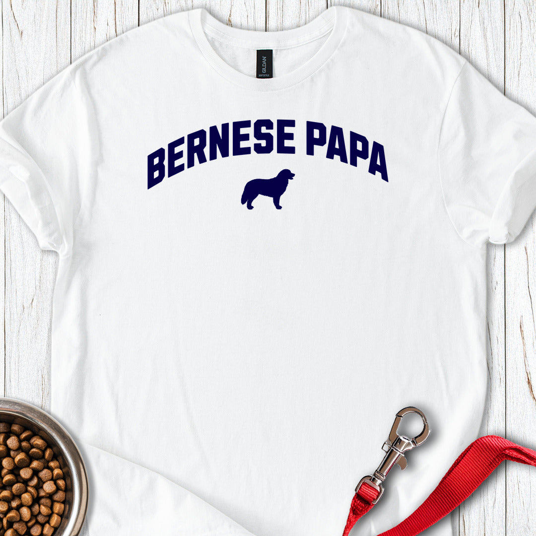 Bernese Papa White
