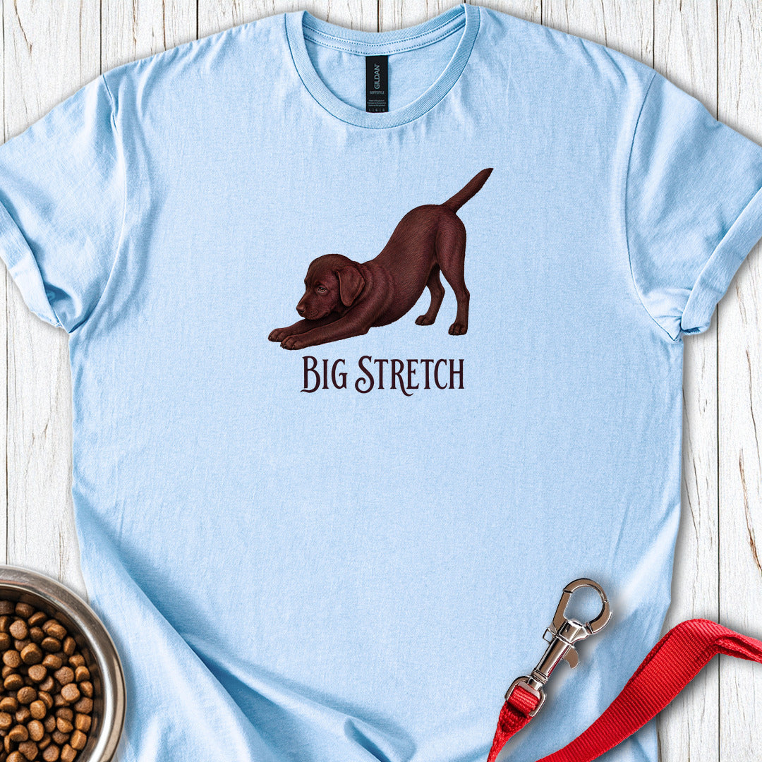 Big Stretch Chocolate Labrador Puppy — Light Blue