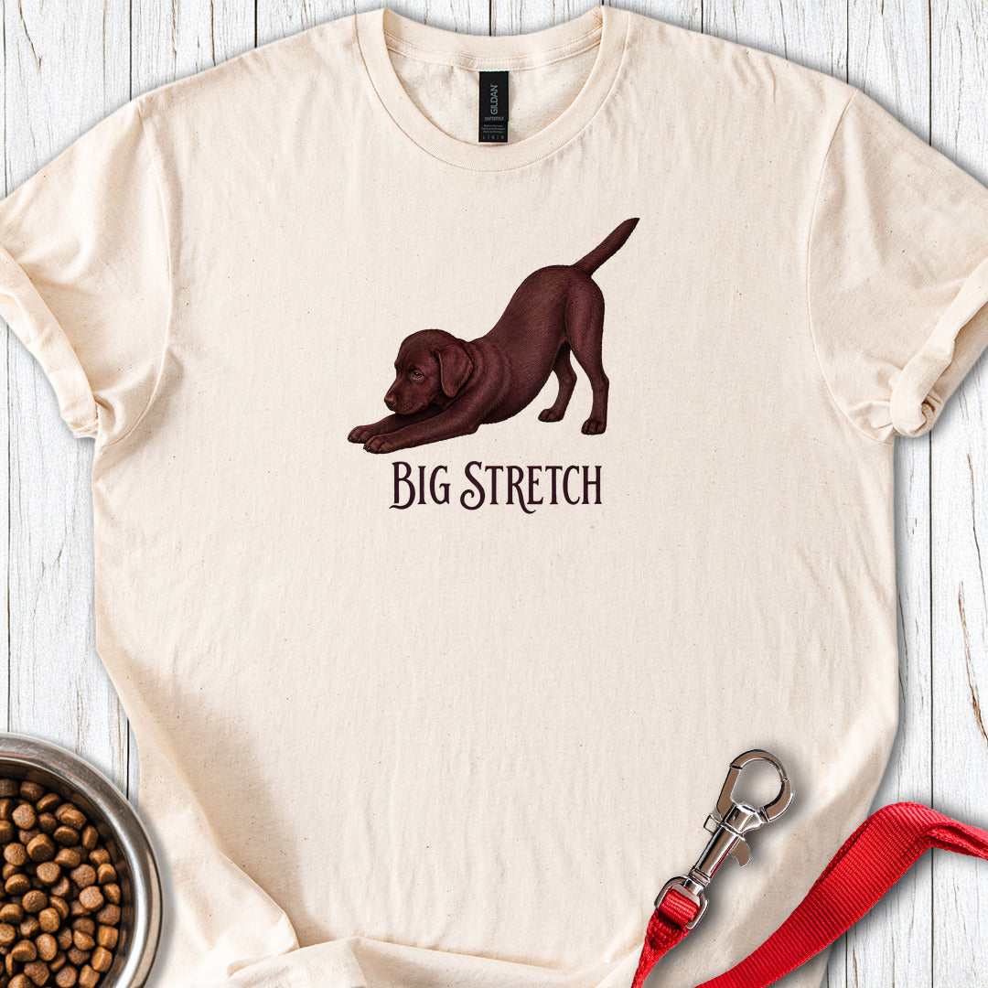 Big Stretch Chocolate Labrador Puppy — Natural