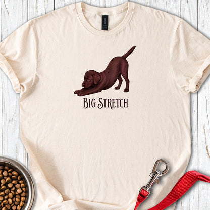 Big Stretch Chocolate Labrador Puppy — Natural