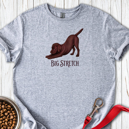 Big Stretch Chocolate Labrador Puppy — Sport Grey