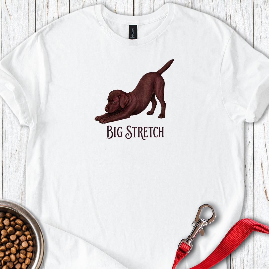Big Stretch Chocolate Labrador Puppy — White