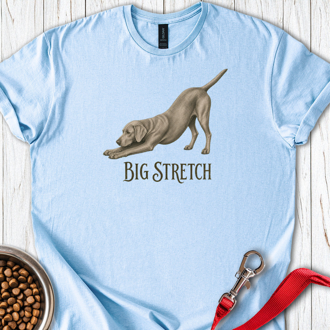Big Stretch Weimaraner Light Blue