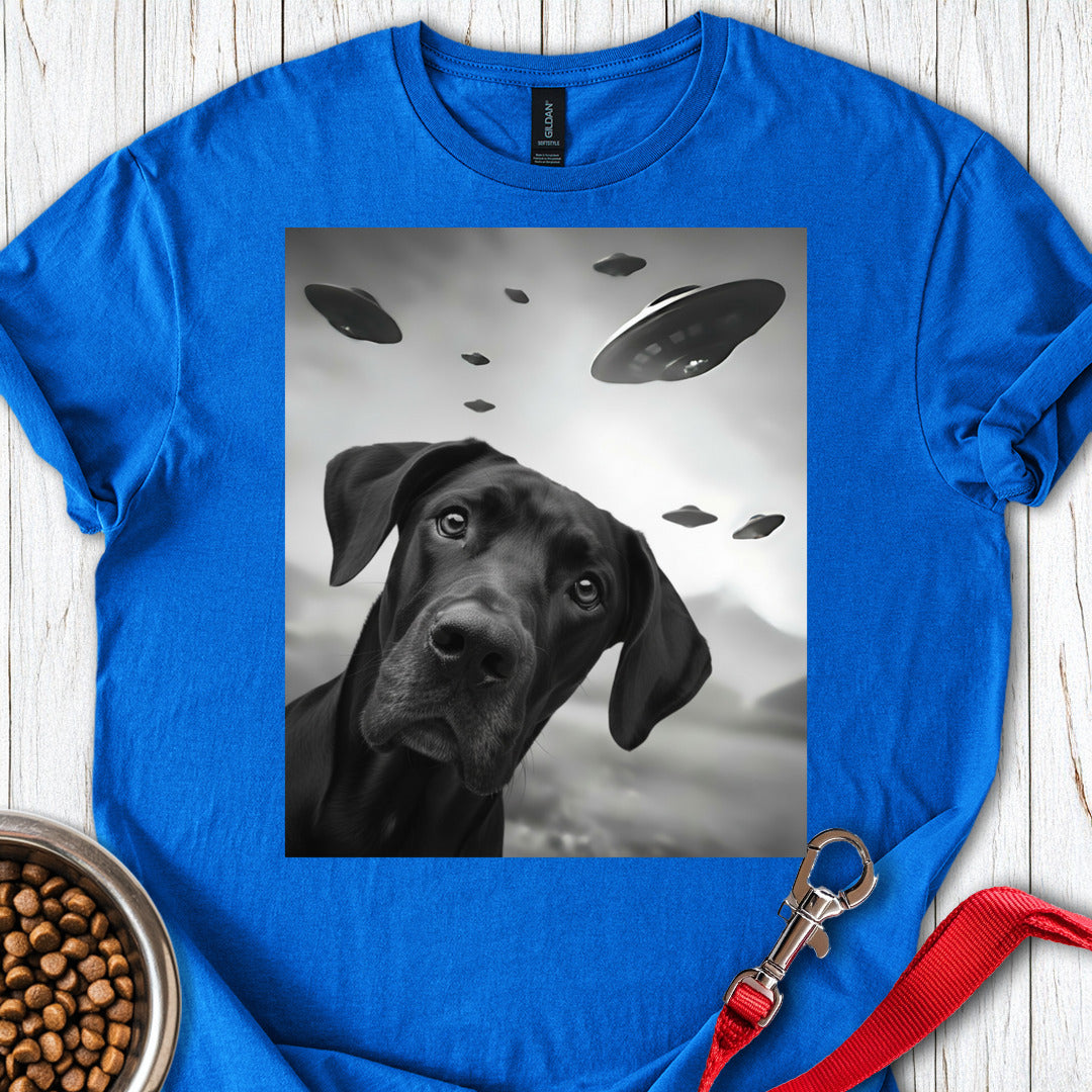 Black Great Dane UFO Royal