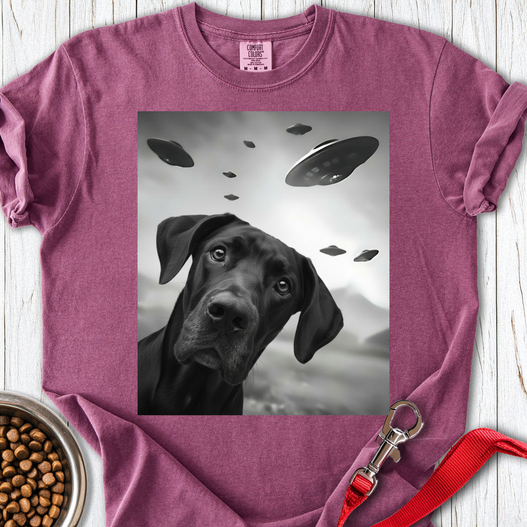 Black Great Dane UFO Premium Tee — Berry