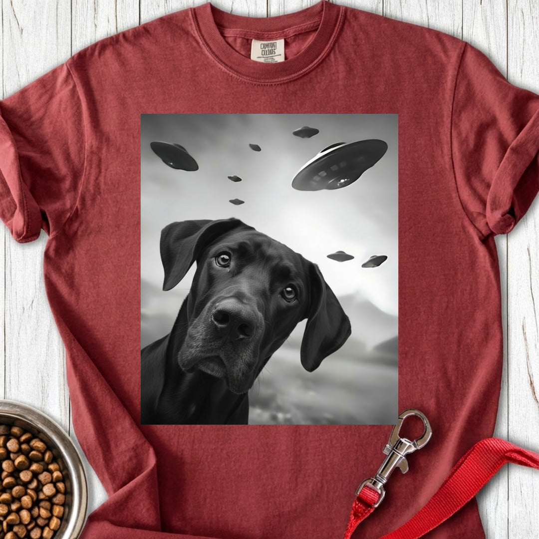 Black Great Dane UFO Premium Tee — Brick