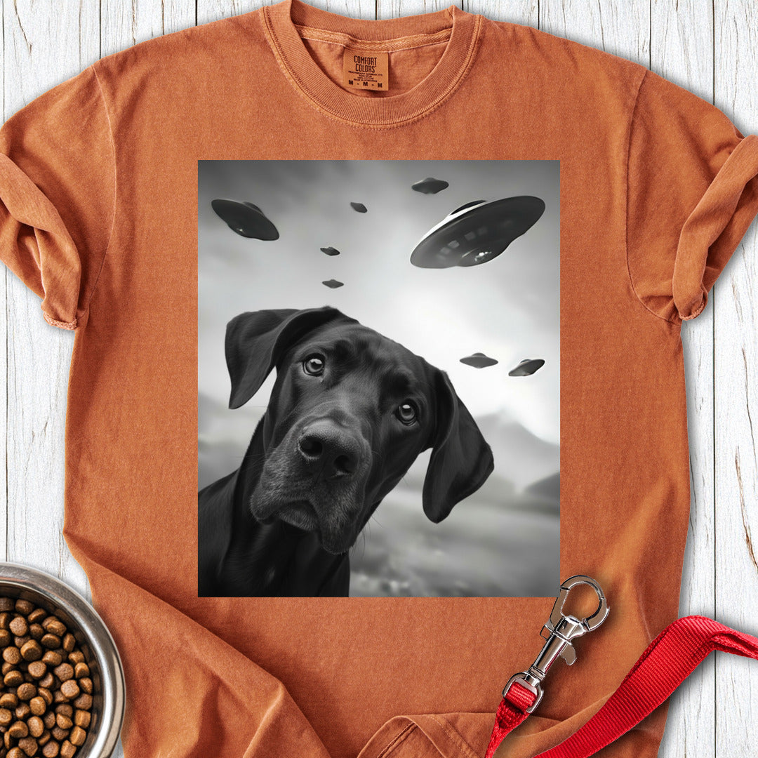Black Great Dane UFO Premium Tee — Yam