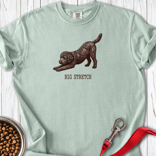 Black Labradoodle Big Stretch Premium Tee Bay