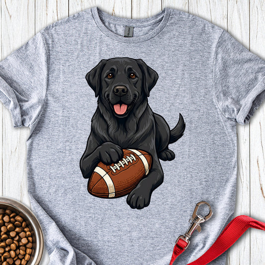 Black Labrador Football Sport Grey