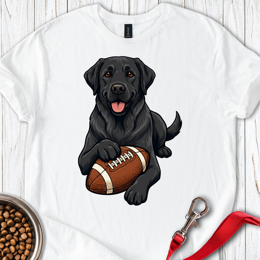 Black Labrador Football White