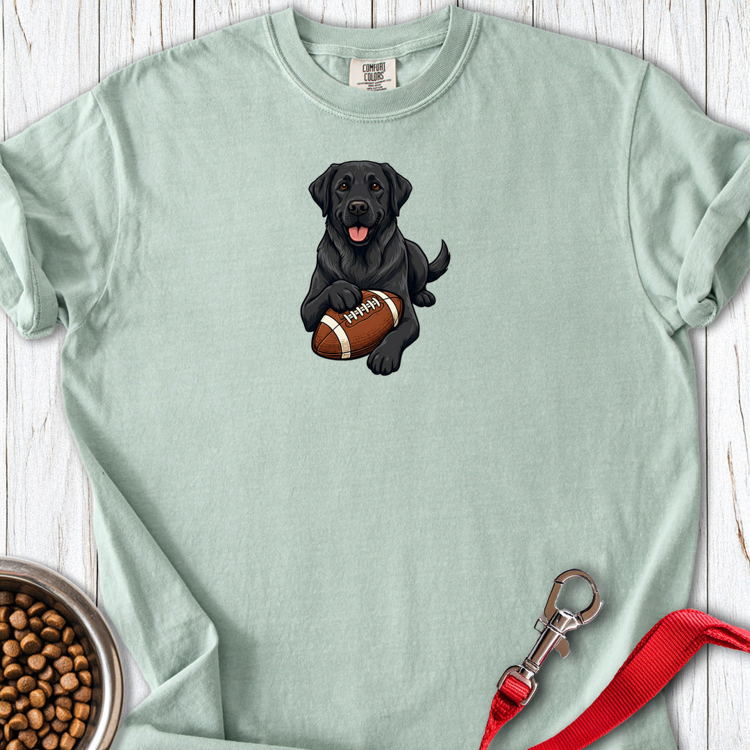 Black Labrador Football Premium Tee — Bay