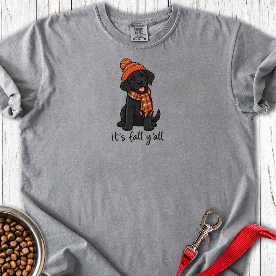 Black Labrador It's Fall Y'all Premium Tee — Grey