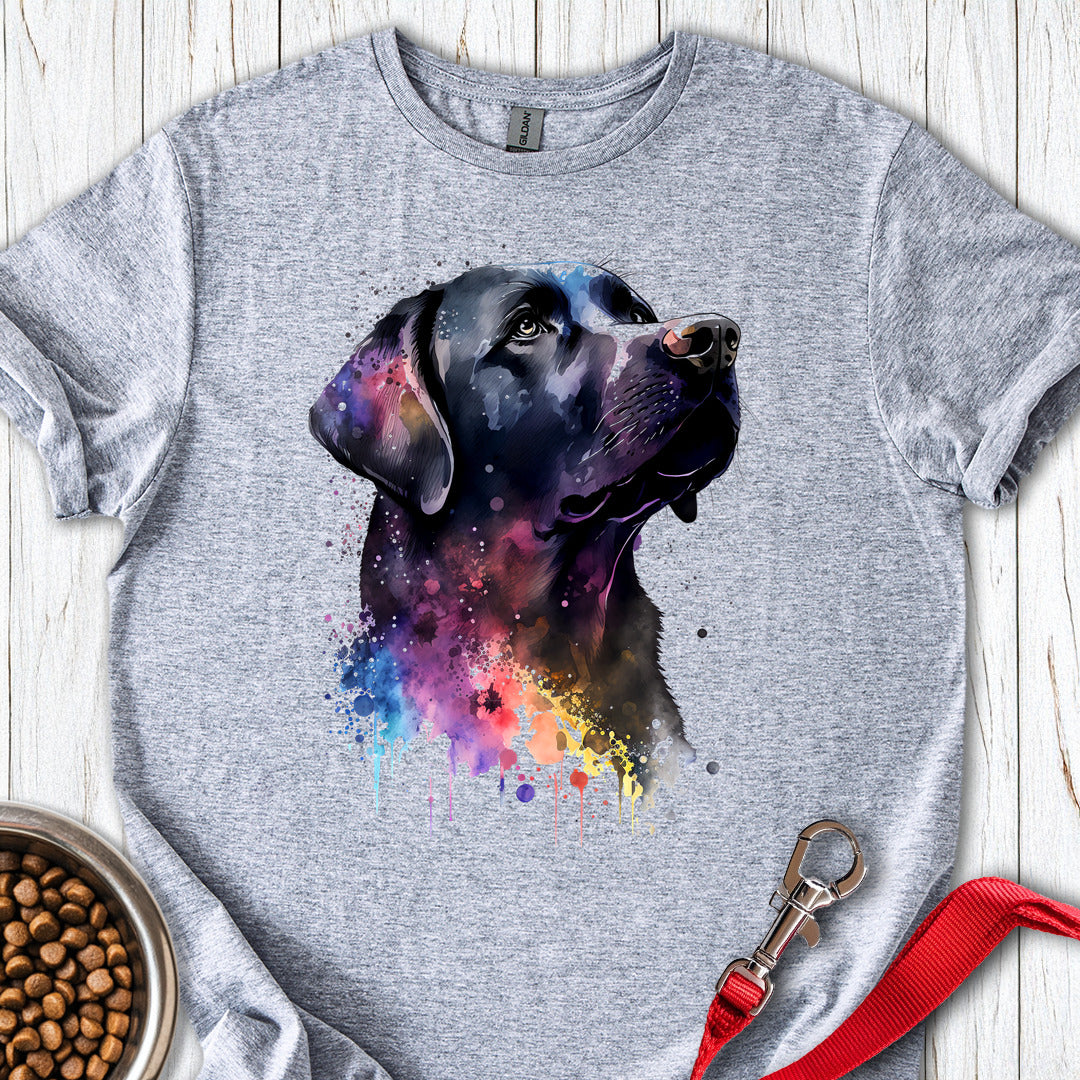 Black Labrador Portrait Sport Grey
